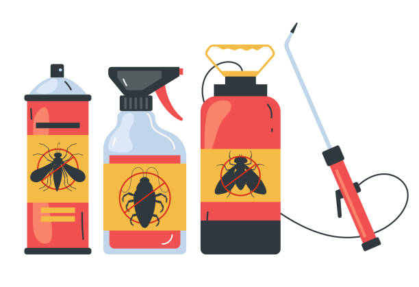 Wasp Removal Services in Sheldon, IL